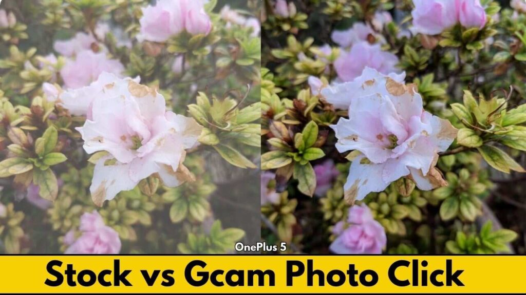 Stock Camera vs Gcam Sample Photo 2
