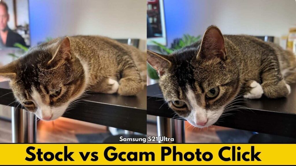 Stock Camera vs Gcam Sample Photo 6